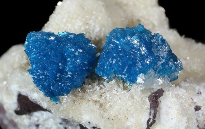 Vibrant Blue Cavansite Clusters on Stilbite - India #62878